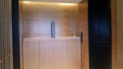 Hana (D10), Condominium #606701041